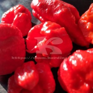 Carolina reaper 10 mag